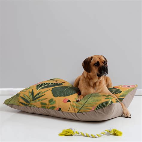 These Luxury Pet Beds Totally Deserve a Spot in Your Home | BeChewy