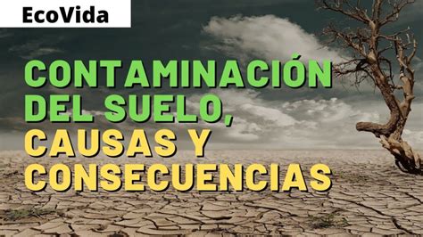 ¿Cuáles son las causas y consecuencias de la contaminación del suelo ...