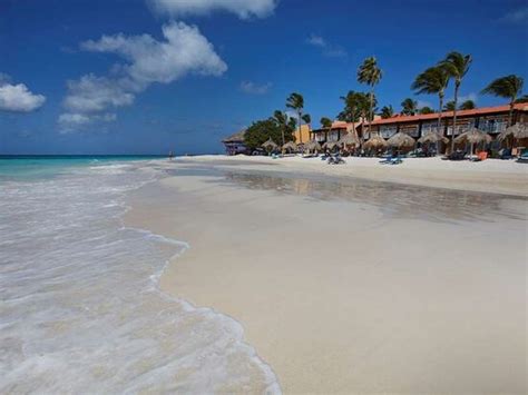 TAMARIJN ARUBA ALL INCLUSIVE - Updated 2023 Prices & Resort (All-Inclusive) Reviews (Caribbean)