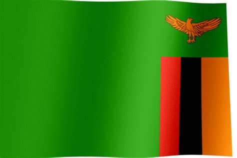 Flag of Zambia (GIF) - All Waving Flags