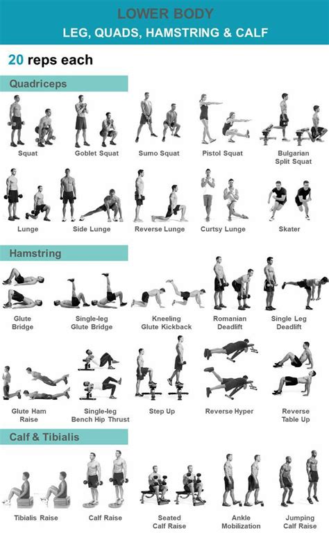 LOWER BODY- LEG,QUADS,HAMSTRING & CALF #bodybuilding #fitness #leg #quads #hamstring #health # ...