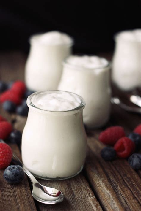 How-to Make Coconut Milk Yogurt | Tasty Yummies Healthy Recipes