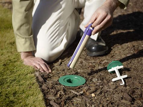 How To Termite Poison Do It Yourself In Brisbane?