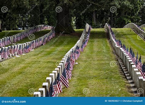 Military Tombstones with US Flags on Cemetery Hillside Editorial Photography - Image of space ...