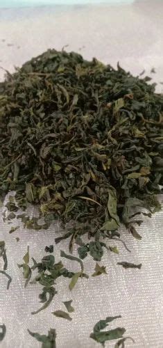 100% Green Assam Tea Leaves at best price in Jaipur | ID: 27164628788