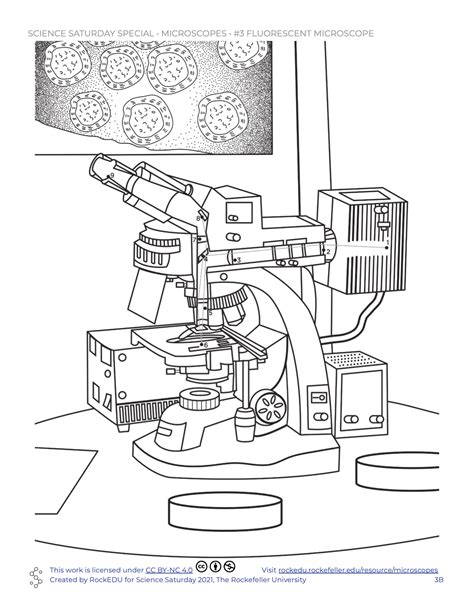 Learn about microscopes