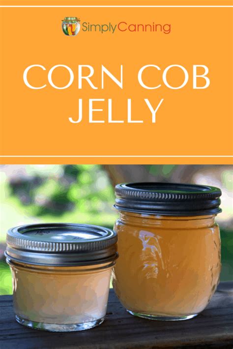 Corn Cob Jelly: Refrigerator, Water Bath and Steam Canning.