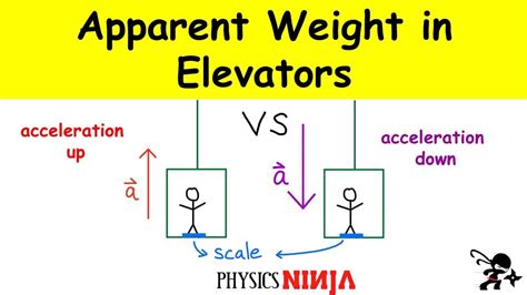 Calculating the Apparent Weight in an Elevator - YouTube