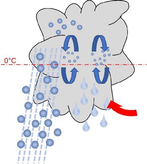 Formation of hail events in clouds. | Download Scientific Diagram