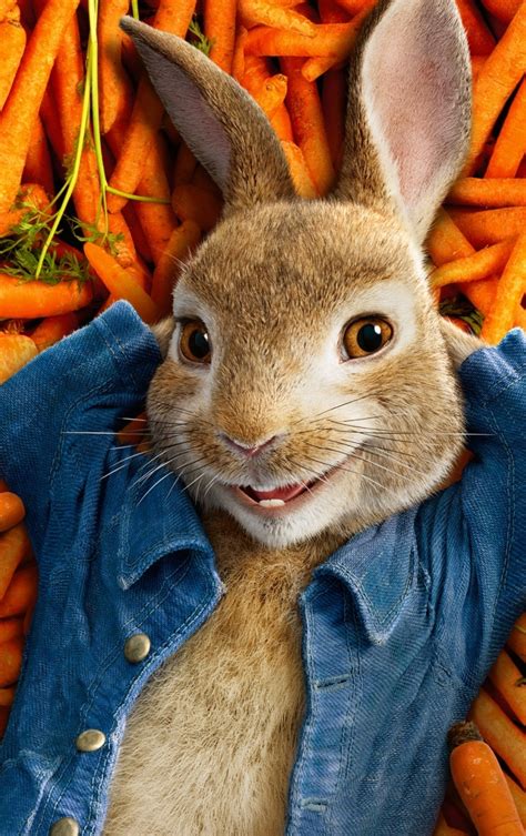 840x1336 Resolution Peter Rabbit 2018 Movie Poster 840x1336 Resolution ...