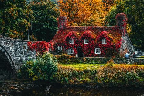 House Covered With Red Flowering Plant · Free Stock Photo