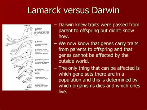 Similarities Between Darwin And Lamarck