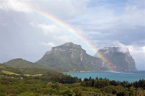 Amazing Ways to Visit Zealandia, Earth's Lost Eighth Continent - Atlas Obscura