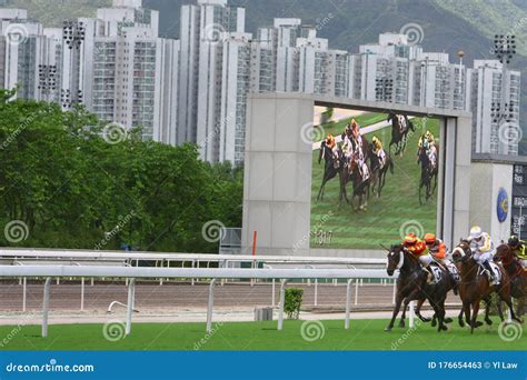 The Horse Racing at Hong Kong Jockey Club. 1 July 2008 Editorial Stock ...