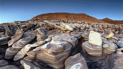 Petrified Forest National Park: Ancient and Spectacular