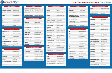 Mac Terminal Commands {Cheat Sheet With Examples}