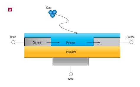 Conducting Polymers Application | IntechOpen