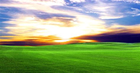 Dual Widescreen Wallpapers: Fresh Cut Grass