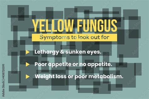 Infographic of Yellow Fungus disease symptoms typography poster, banner ...