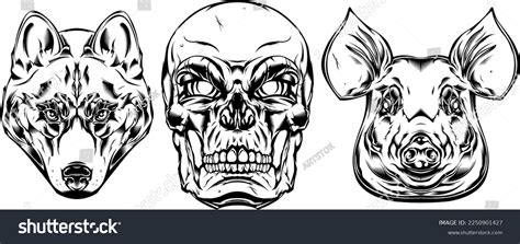 Pigs Skull Tattoo: Over 263 Royalty-Free Licensable Stock Vectors & Vector Art | Shutterstock