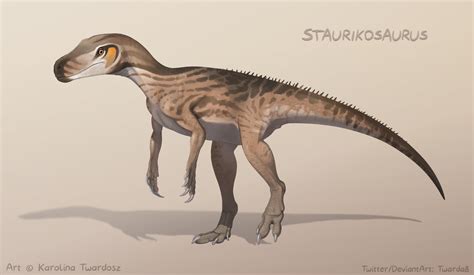 Staurikosaurus by Twarda8 on DeviantArt