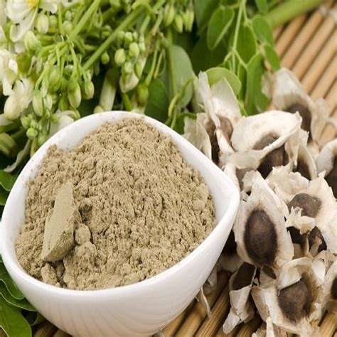 Moringa Seeds Powder Grade: A-grade at Best Price in Ahmedabad | Dominate Industries