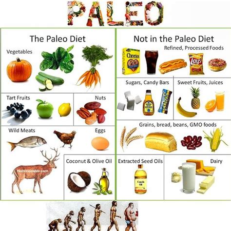 Paleolithic Diet History As Appropriate