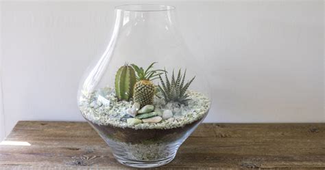 DIY: Make a Cactus Terrarium - The Perfect Size for Your Desk - Organize With Sandy