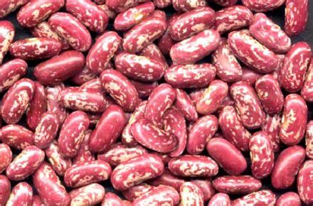 Nyayo beans | Farmers Market Kenya