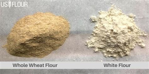 Whole Wheat Flour Vs. White Flour: What Should You Choose For Baking ...