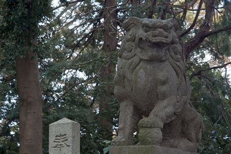 Shrine Dog - Guardian Komainu | Stone lion, Lion sculpture, Legendary creature