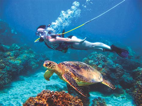 Roatan Snuba Diving Excursion | Discover Roatan Excursions & Tours