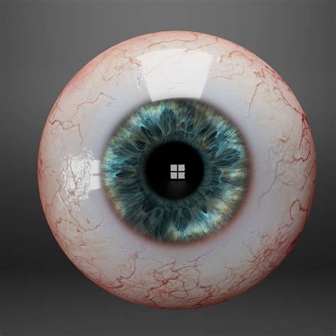 3D model Human eyes VR / AR / low-poly | CGTrader