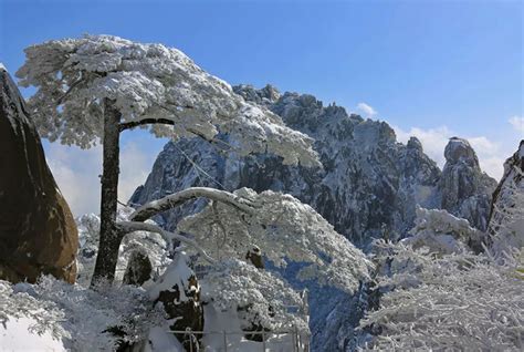 Huangshan Winter, Yellow Mountain Winter