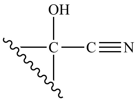 Illustrated Glossary of Organic Chemistry - Cyanohydrin