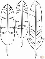 Indian Feather coloring page  Free Printable Coloring Pages sketch template