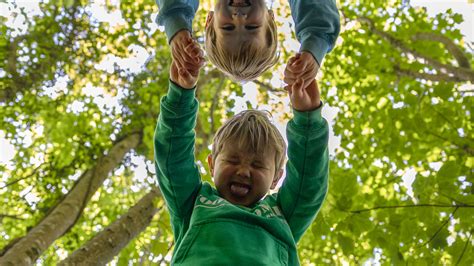 Heligan Jungle Giants Summer Holiday Adventure