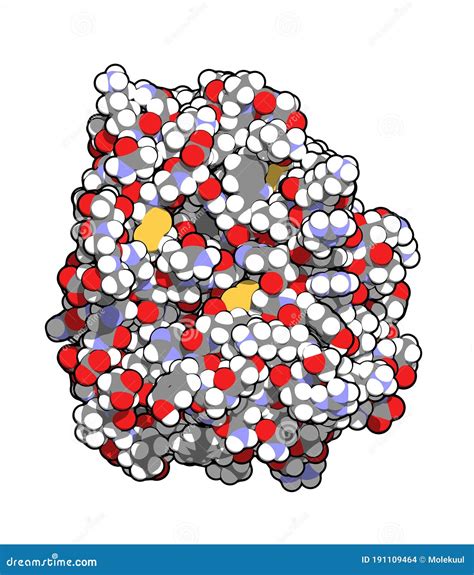 Trypsin Enzyme Molecule, Chemical Structure. Stock Photo | CartoonDealer.com #27409134