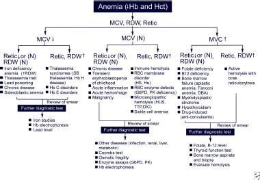 Approach to Anemia Pdf - AlfredoatMcneil