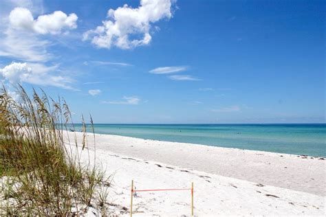 Surprising Facts About Sarasota | Must Do Visitor Guides | Perfect ...