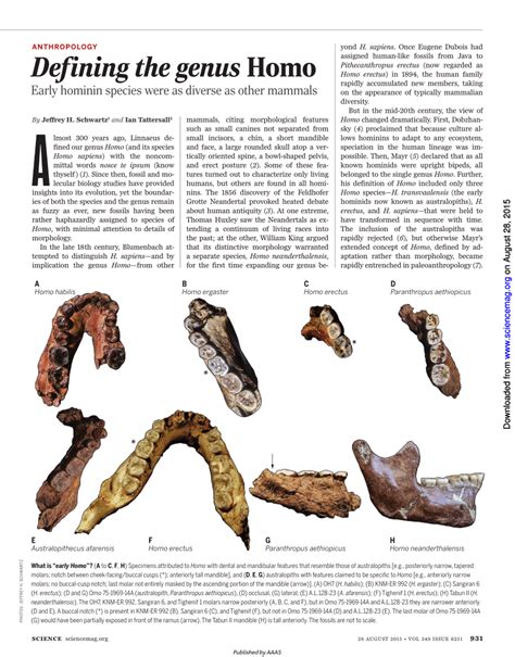 (PDF) Defining the genus Homo