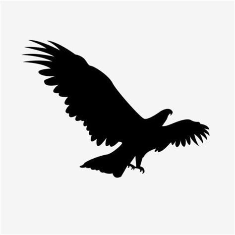 Horse Side View Silhouette Vector PNG, Side View Eagle Black Silhouette ...