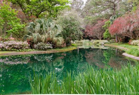 Guided Tour of Maclay Gardens - Tallahassee Senior Center Foundation