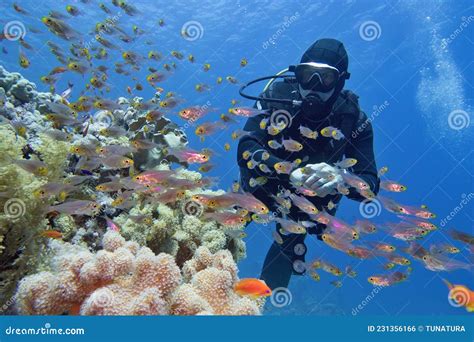 Man Scuba Diver Near Beautiful Coral Reef Surrounded with Shoal of ...