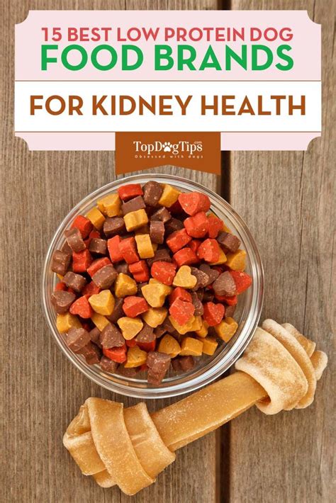 The Best Low Protein Dog Foods for Kidney, Liver Health | Low protein dog food, Healthy dog food ...