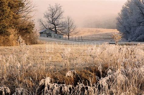 Mineral Wells Frost, West Virginia Photography | West virginia ...