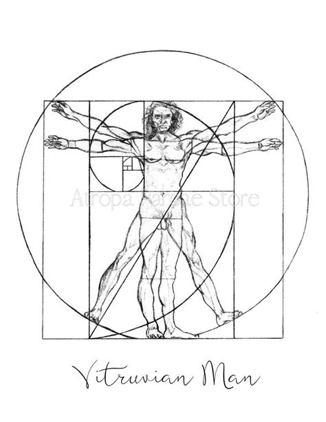 Vitruvian Man Leonardo da Vinci Print Golden ratio L'uomo vitruviano Illustration Drawing ...