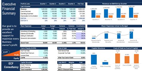 Executive Financial Summary Excel with Power Point Template - Eloquens