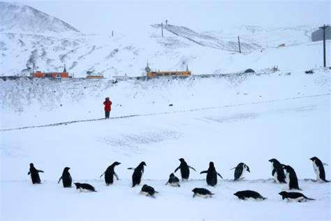 Antarctic Snow Linked to Global Warming | Sci.News