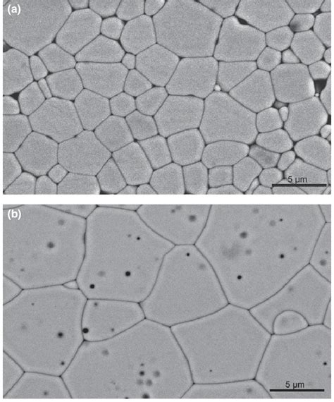 Microstructure of CeO 2 ceramics prepared from particles (CeO 2 /12/N ...